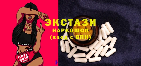 ECSTASY Бородино